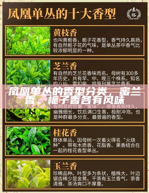 凤凰单丛的香型分类，蜜兰香、栀子香各有风味